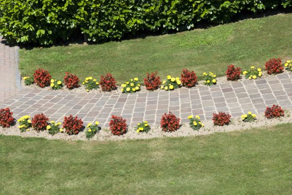 Garden Paving in Milford