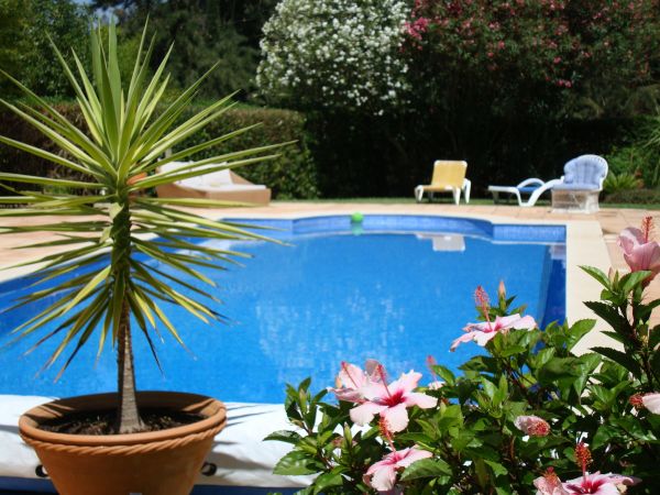 Cost of Pool Terrace Renovation in Milford
